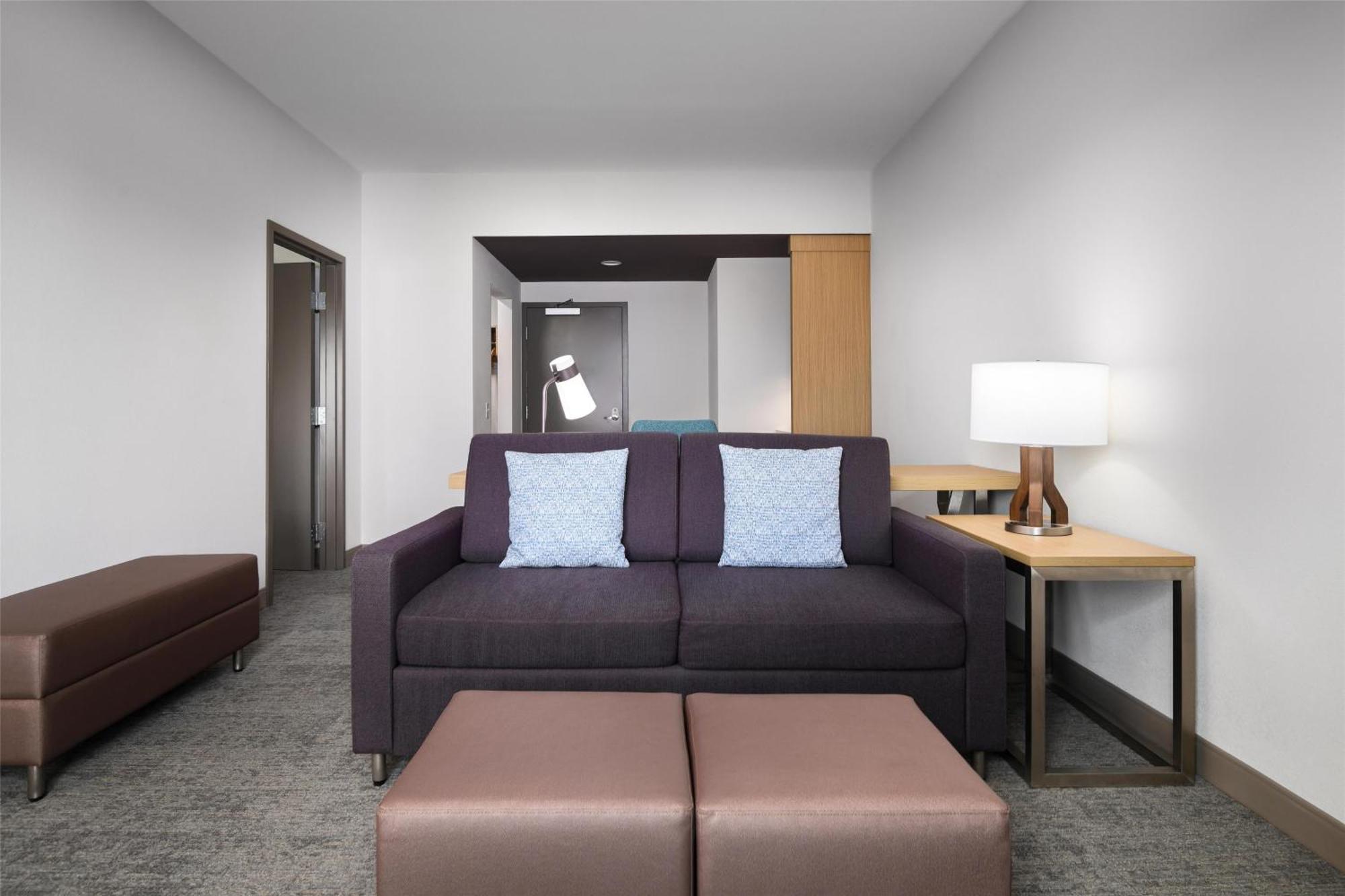 One-Bedroom King Suite Sofa Bed