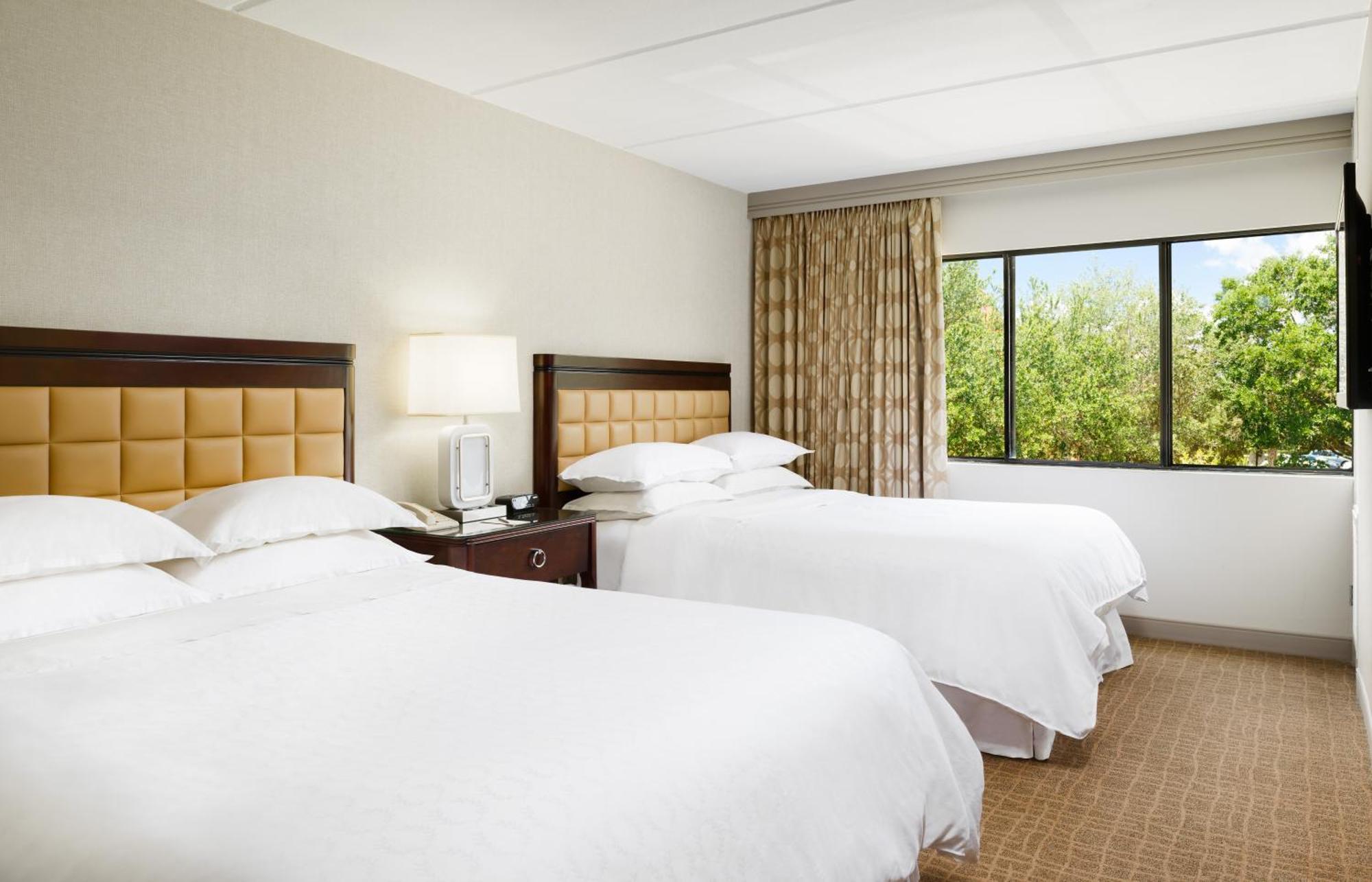 1 Bedroom Suite 2 Queen Sofa bed,1418793966:JPEG