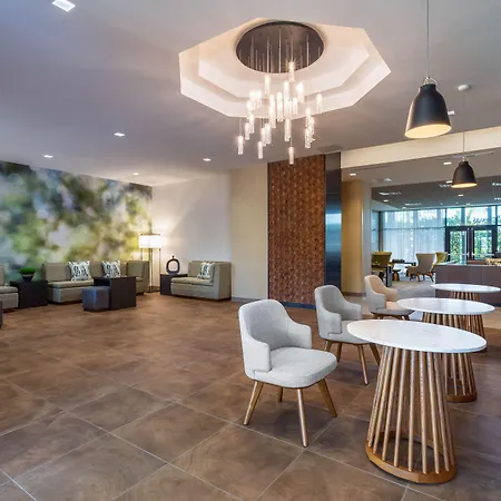 Wyndham Garden Orlando Universal / I Drive-3